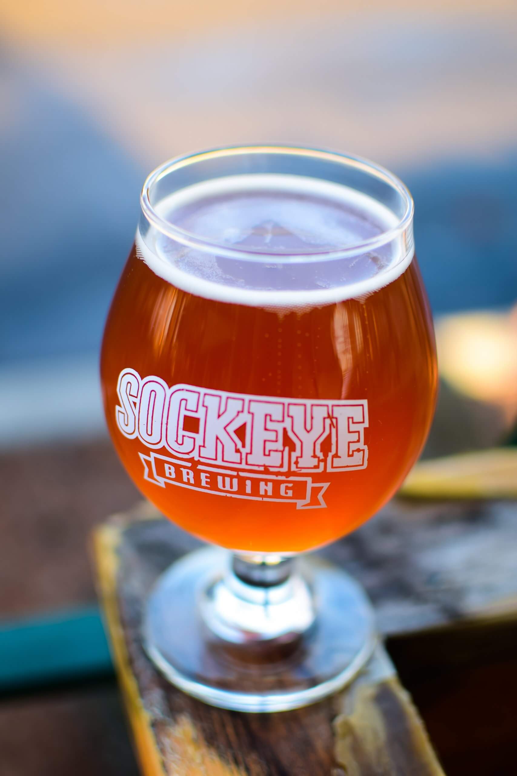 A pint of beer at Sockeye Brewing.