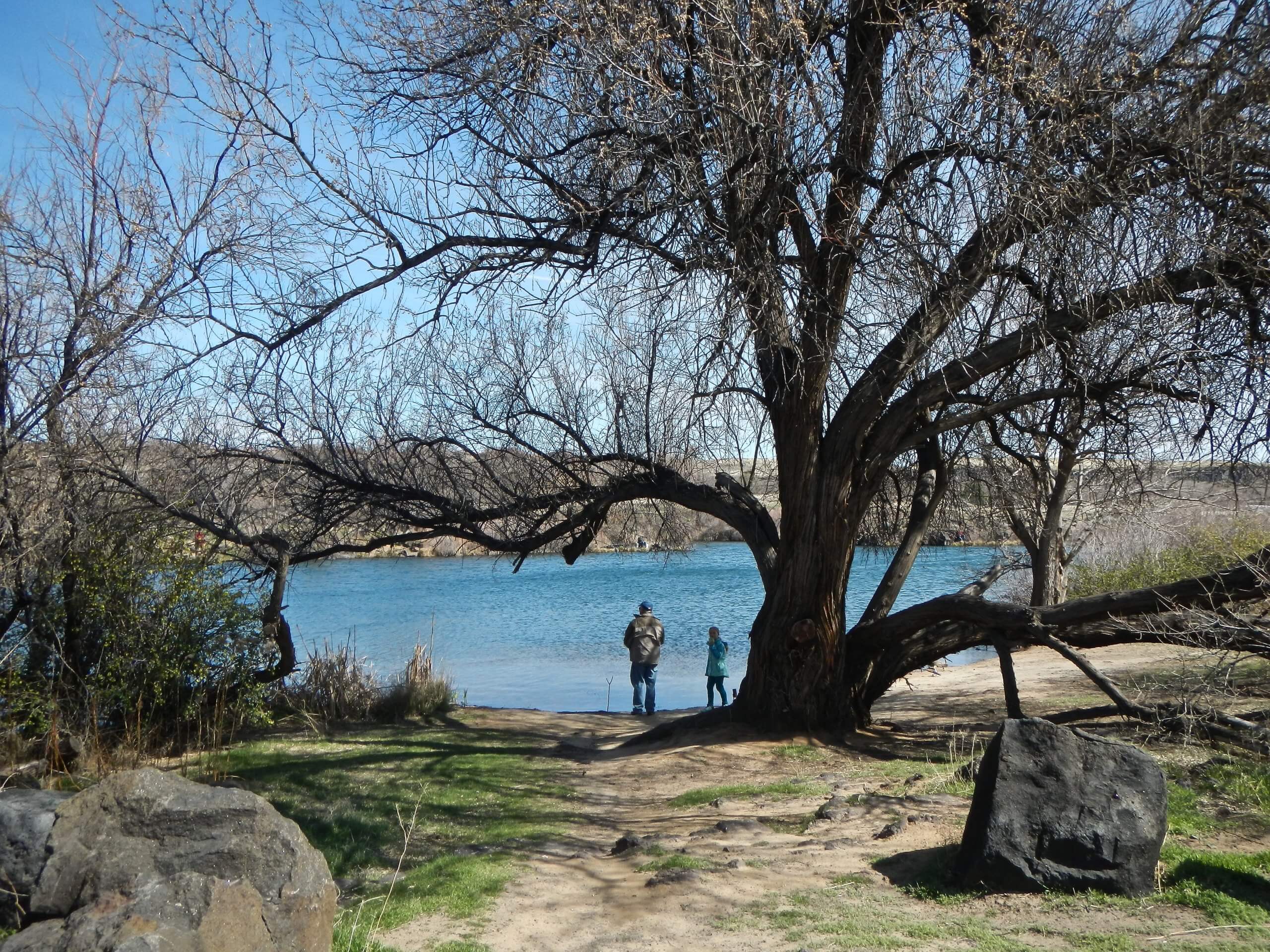 people fishing