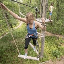 People on a ropes course at Tree to Tree Adventure Park.