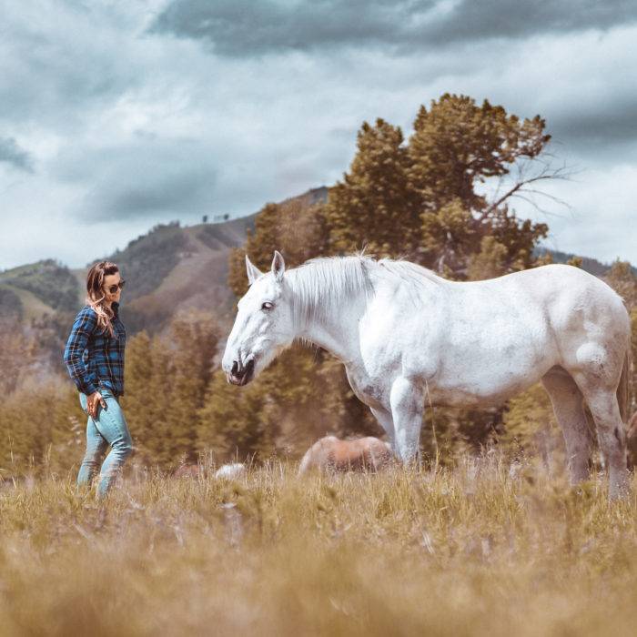 woman standing next to a horse