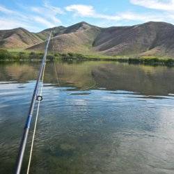 A fishing rod positioned over the Silver Creek.