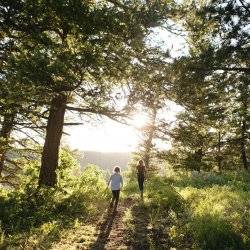 children playing in forest