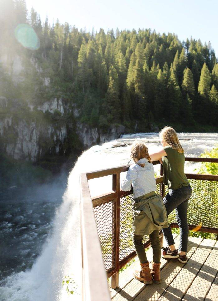 people looking at waterfall