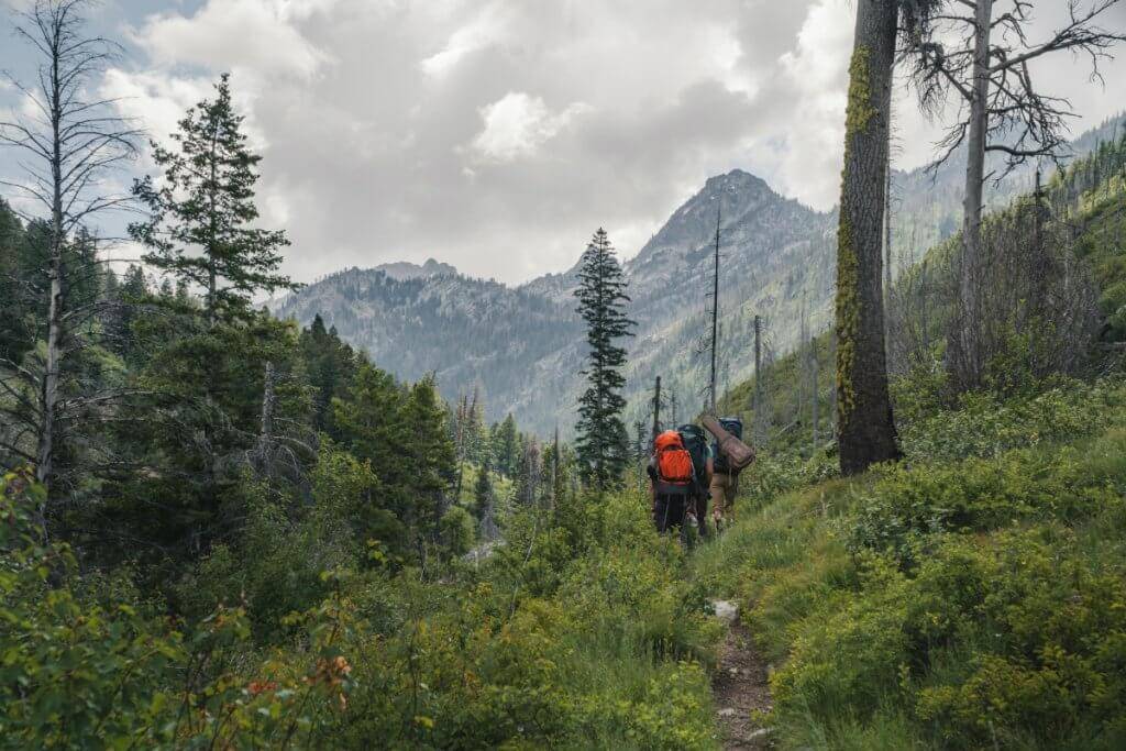 hikers on mountainside