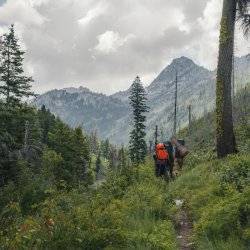 hikers on mountainside