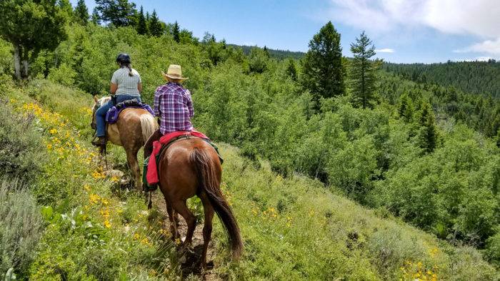 people riding horses