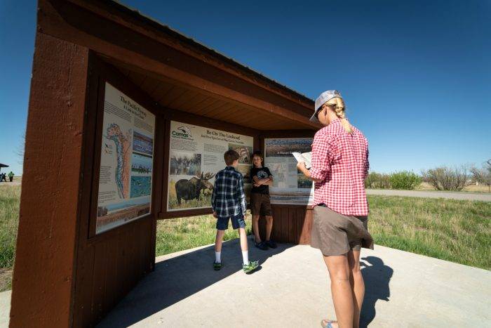 Birds Galore: Exploring the Camas National Wildlife Refuge