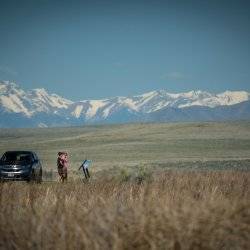 people in grassland area