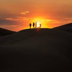 sunset on sand dune