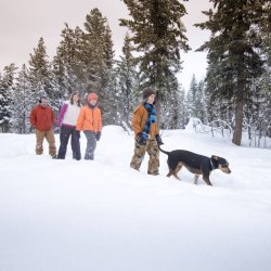 A group of people snowshoeing with their dog through a snow-covered landscape in McCall surrounded by trees.