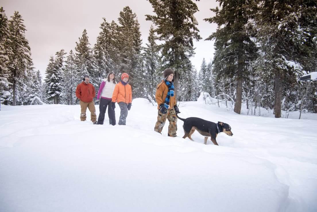 A group of people snowshoeing with their dog through a snow-covered landscape in McCall surrounded by trees.