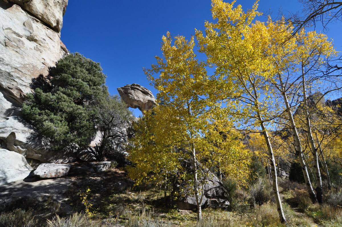 rock formations and aspen trees