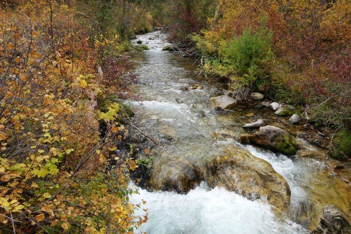 stream and fall colors