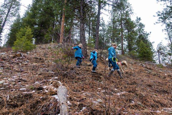 family hiking a hill