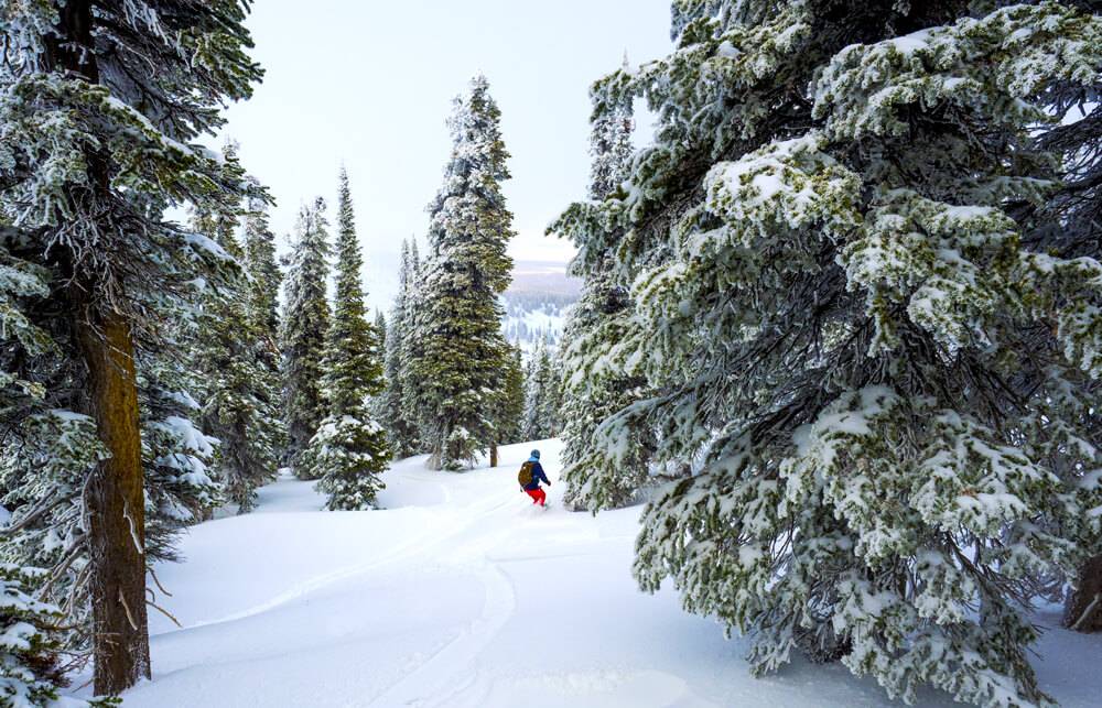 snowboarding