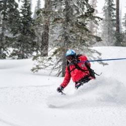 a person skiing through a forest