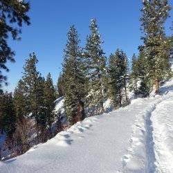 snowy trail