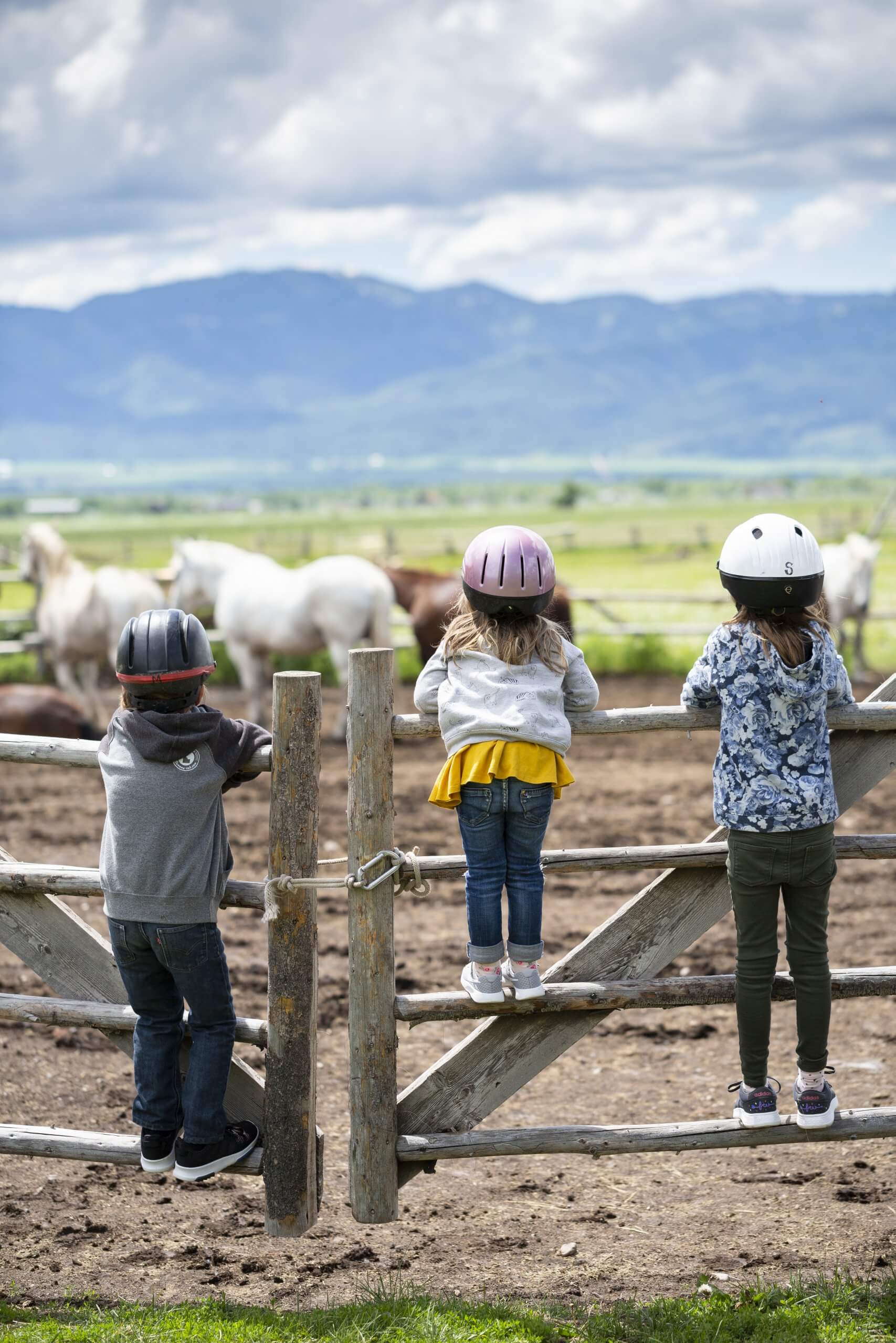 Kids looking at horses before they go horseback riding.