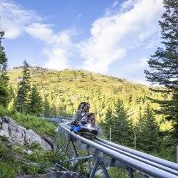 a father and son ride smile as they ride down a mountain coaster