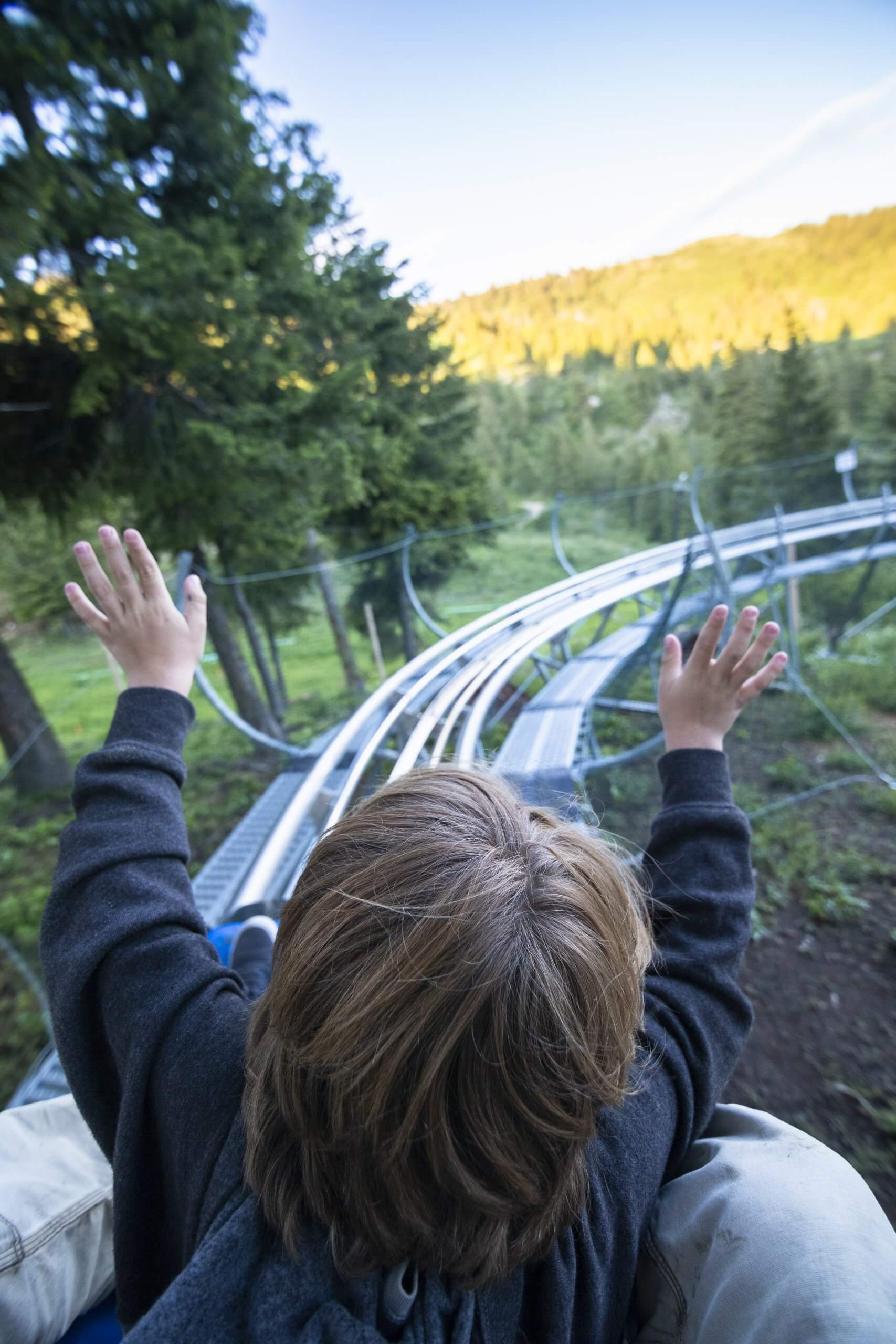 A family riding a mountain coaster.