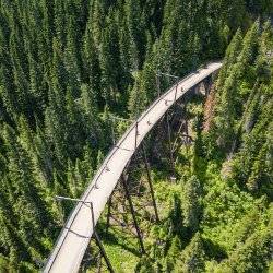 People ride bikes on a pathway that was once a railway, high above the treetops.