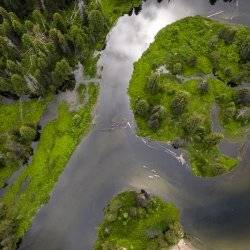 An aerial snapshot picture from above the North Shore Streams at Payette Lake, near McCall, Idaho, where kayakers from down below cross the water, clouds reflected in the lake as lush green trees rise from the distance, captured by a drone.