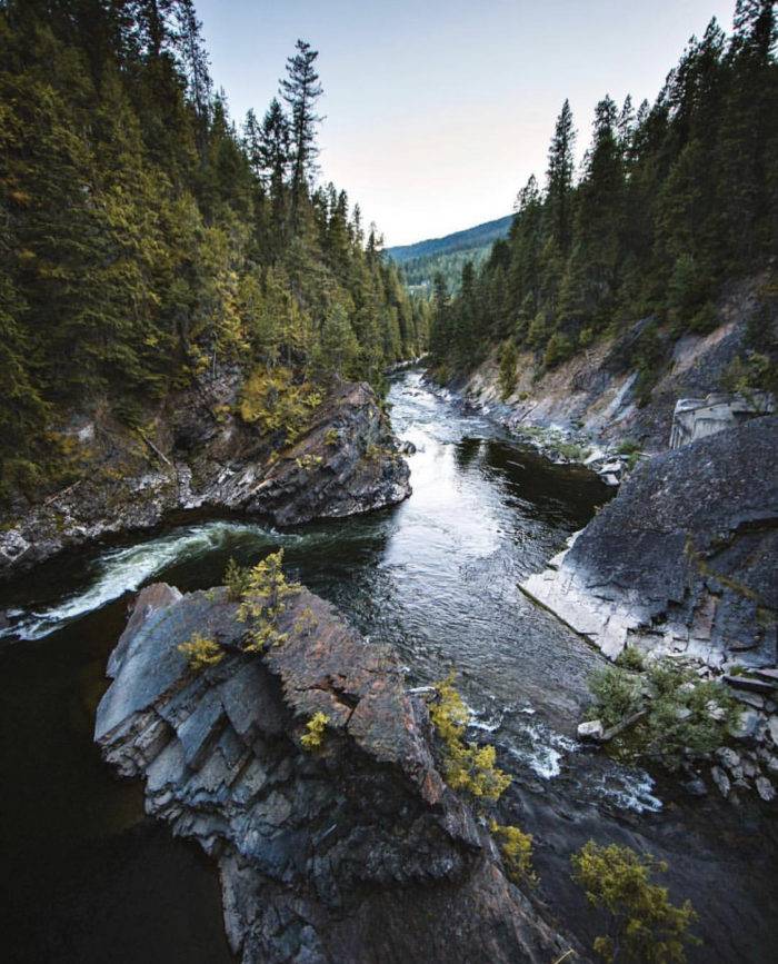 A river in a forest