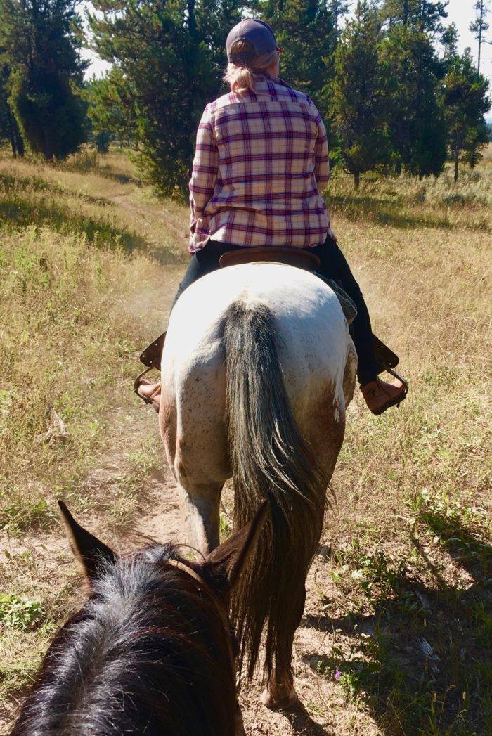 woman on horse