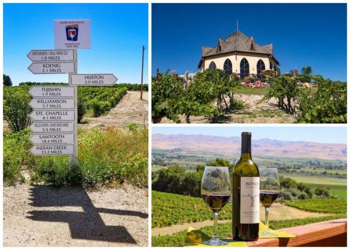 winery, wine bottle,signs