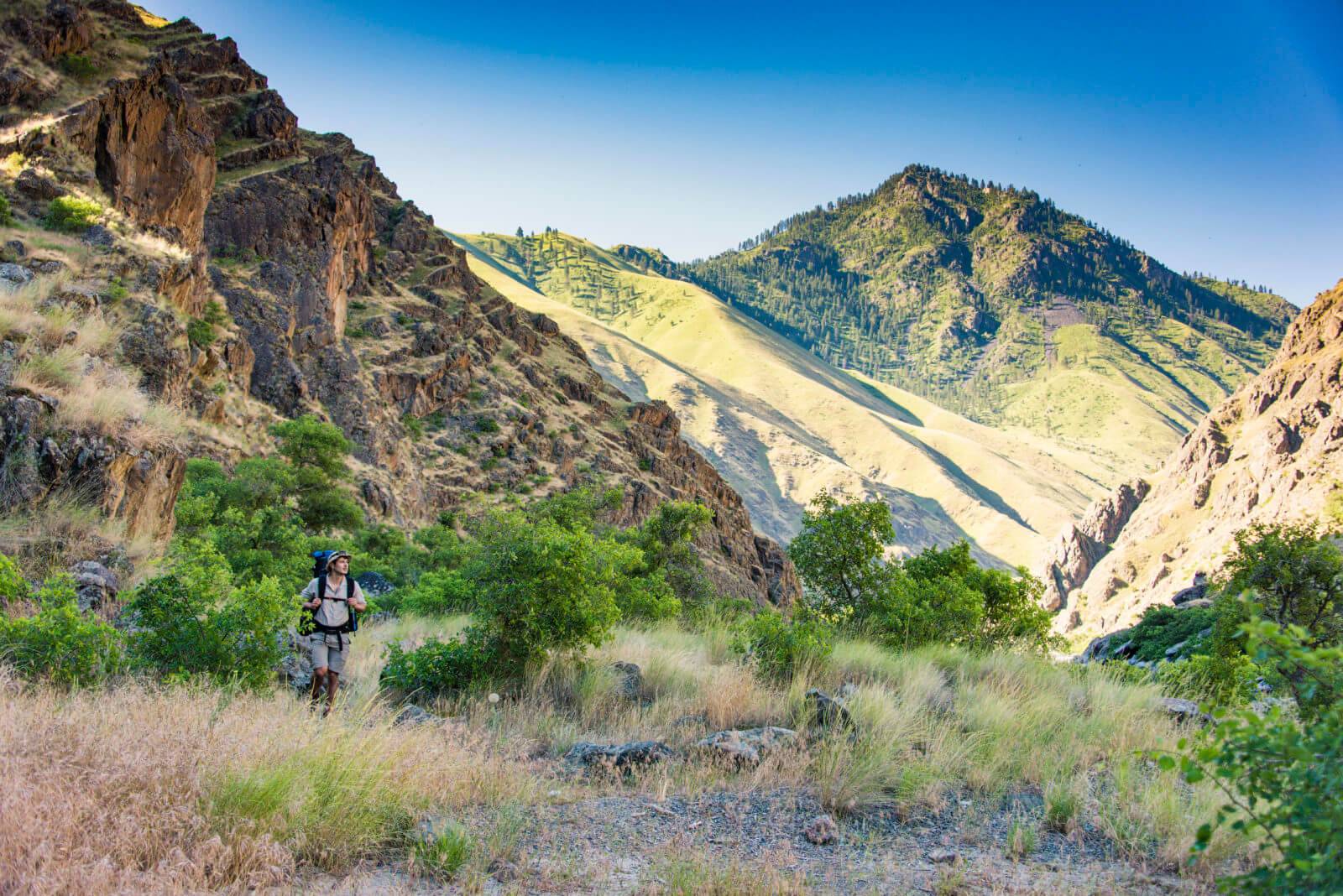 a man hiking in a canyon surrounded by trees and shrubs