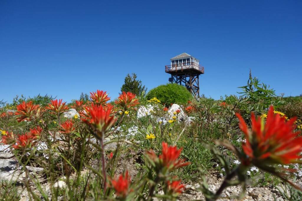 fire lookout