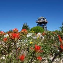 fire lookout