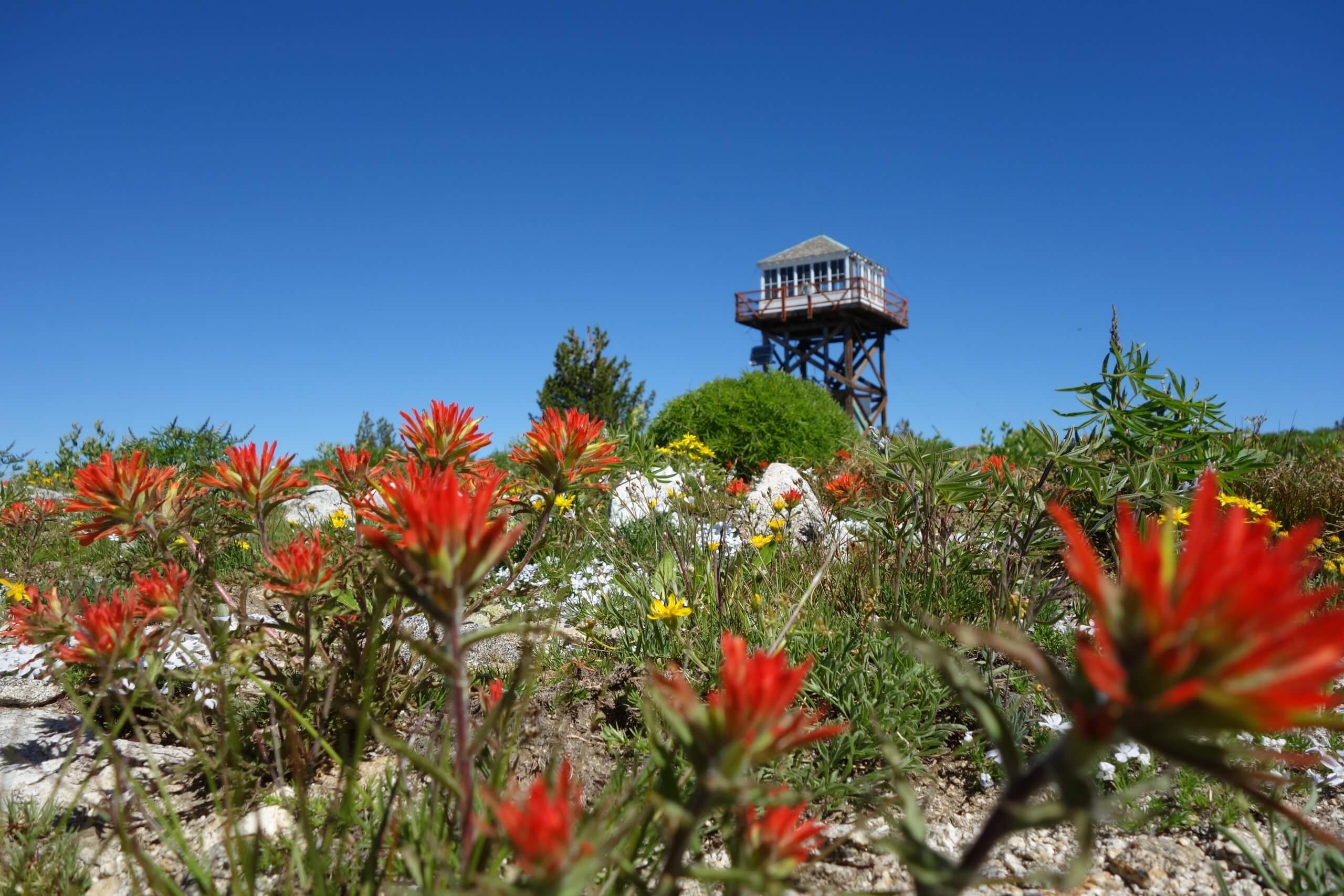 fire lookout