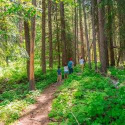 family hiking in forest