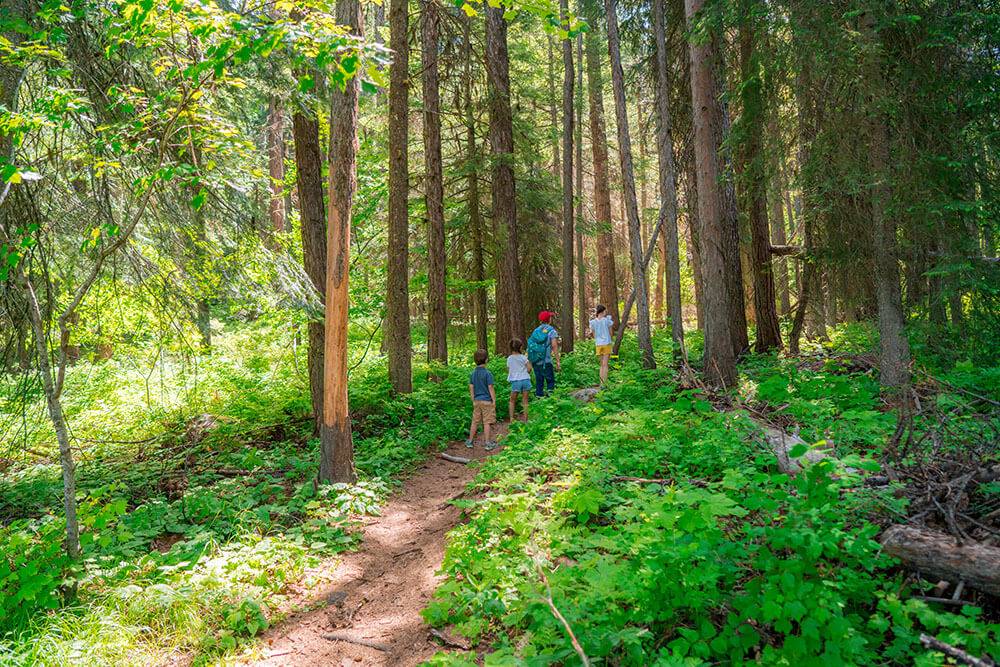 family hiking in forest