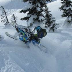 Snowmobiler charges through deep powder with snow covered trees in the background.