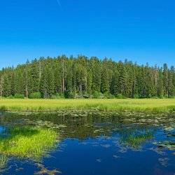 scenic marsh