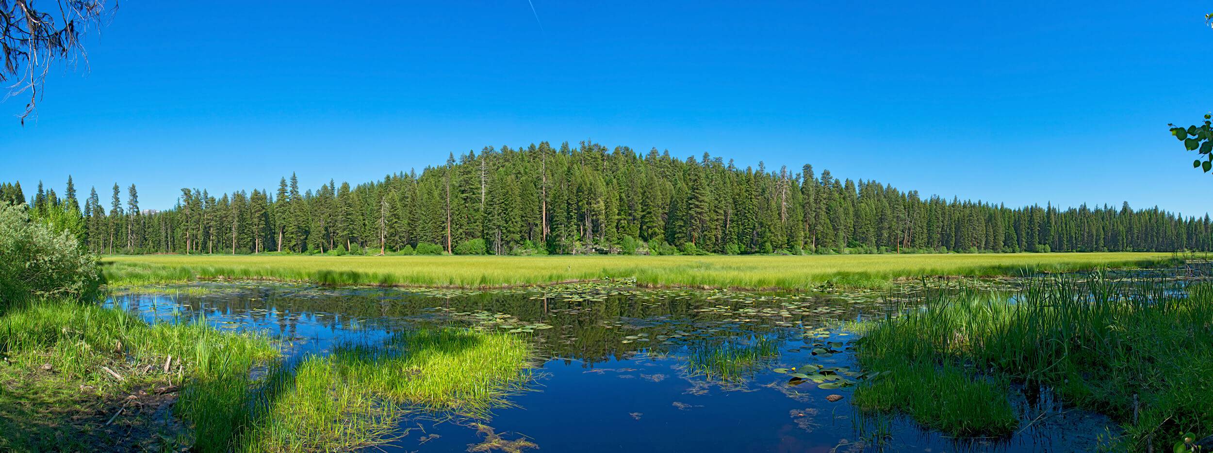 scenic marsh