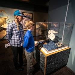 people standing at museum exhibit