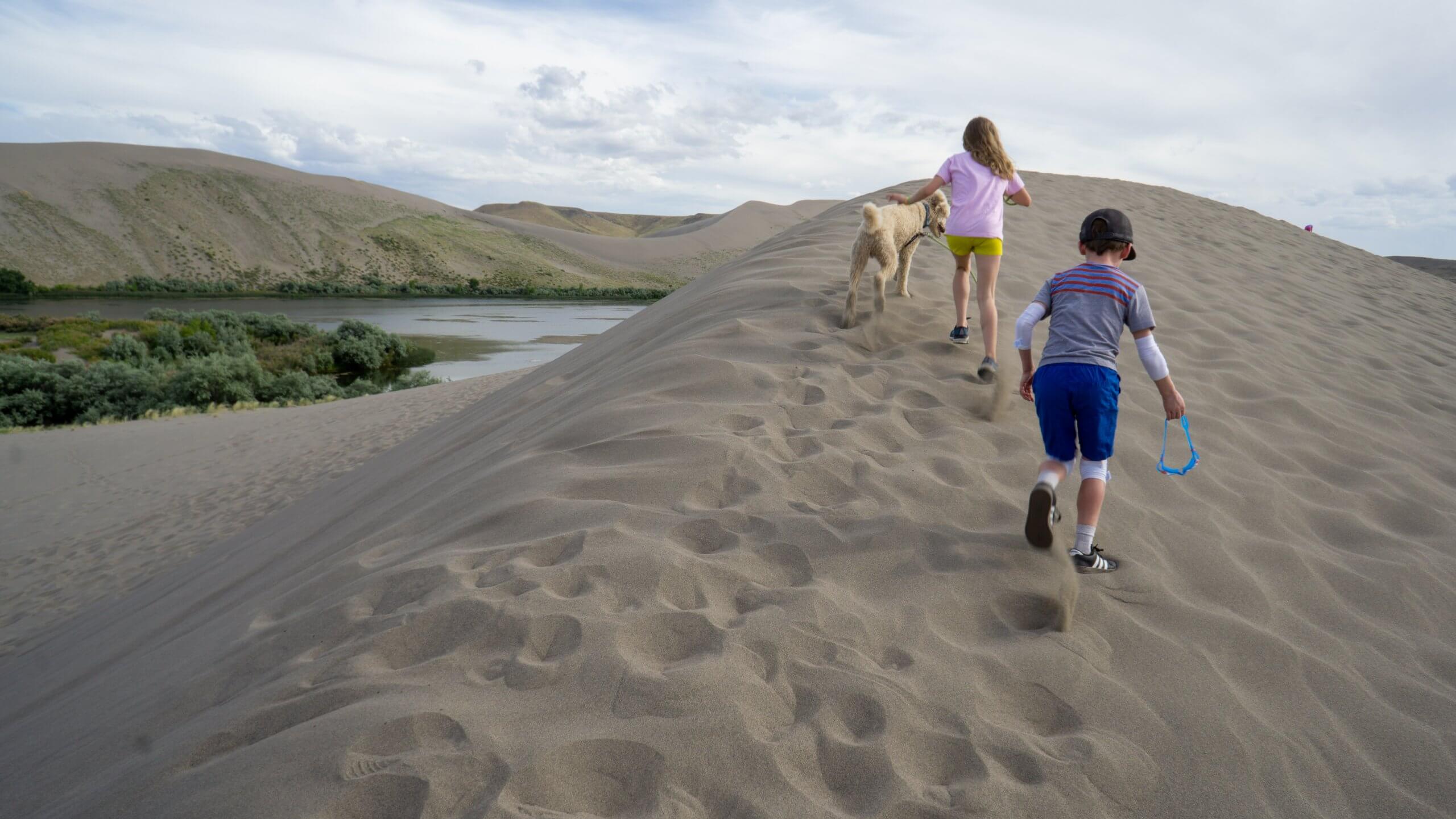 bruneau sand dunes