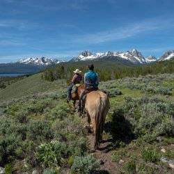 woman riding a horse