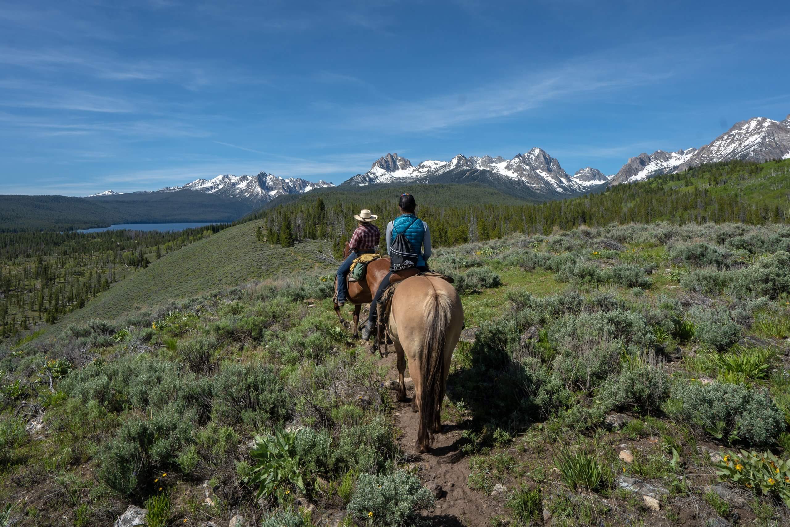 woman riding a horse