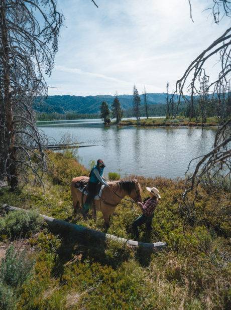 woman riding a horse