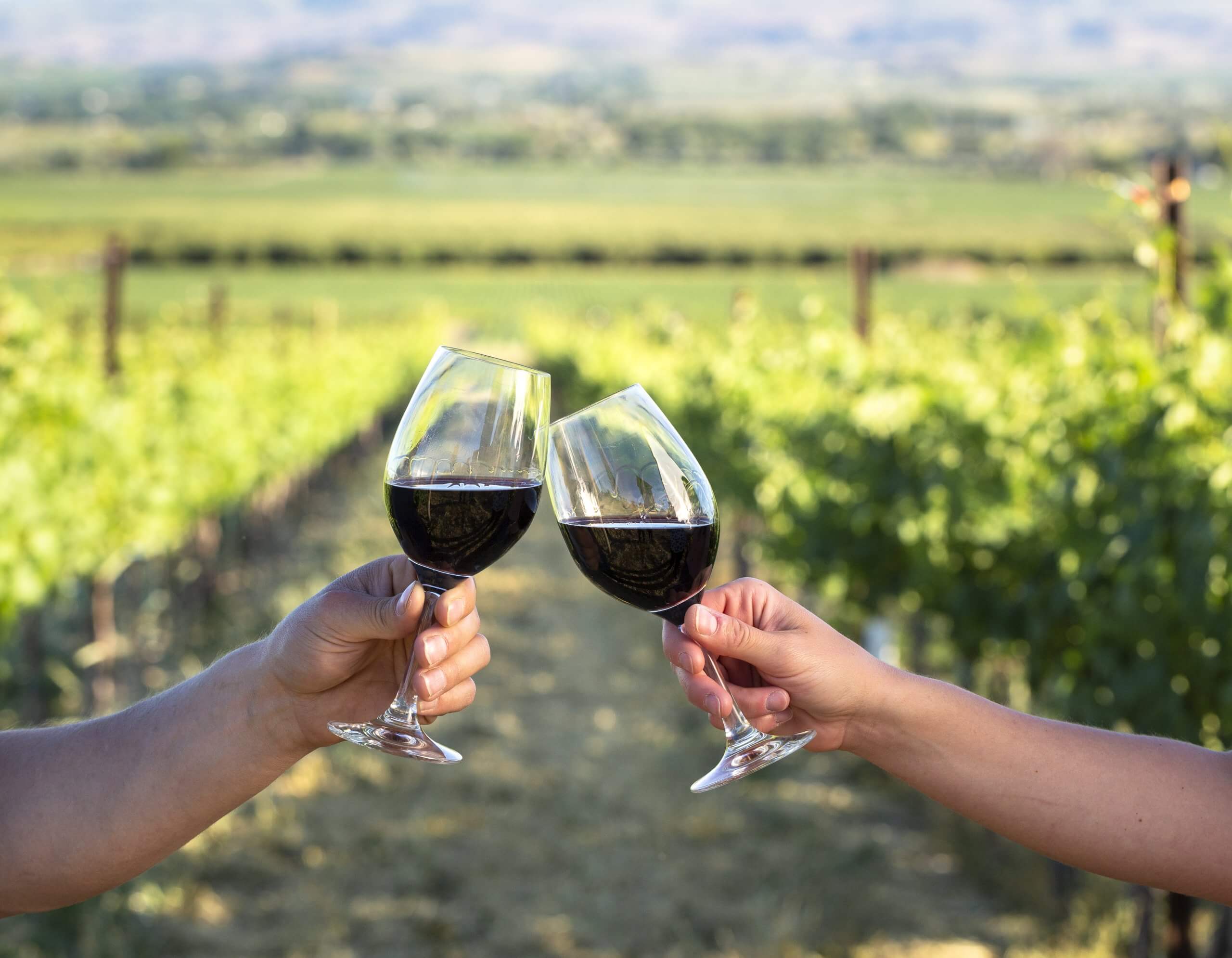 Two people cheers with a glass of red wine at Koenig Vineyards.