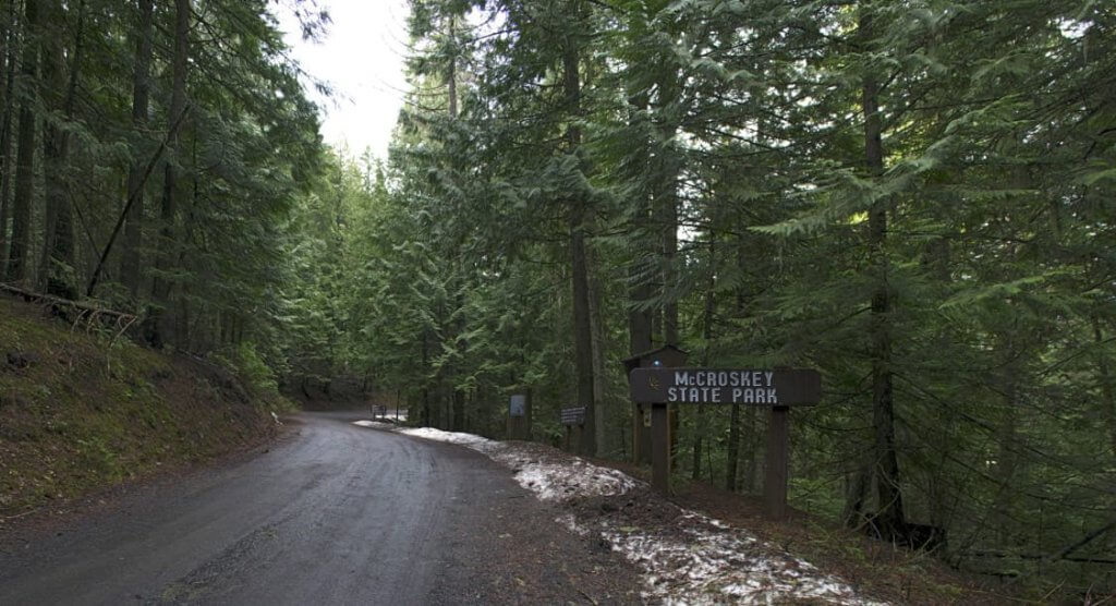 A tree-lined dirt path at McCroskey State Park.