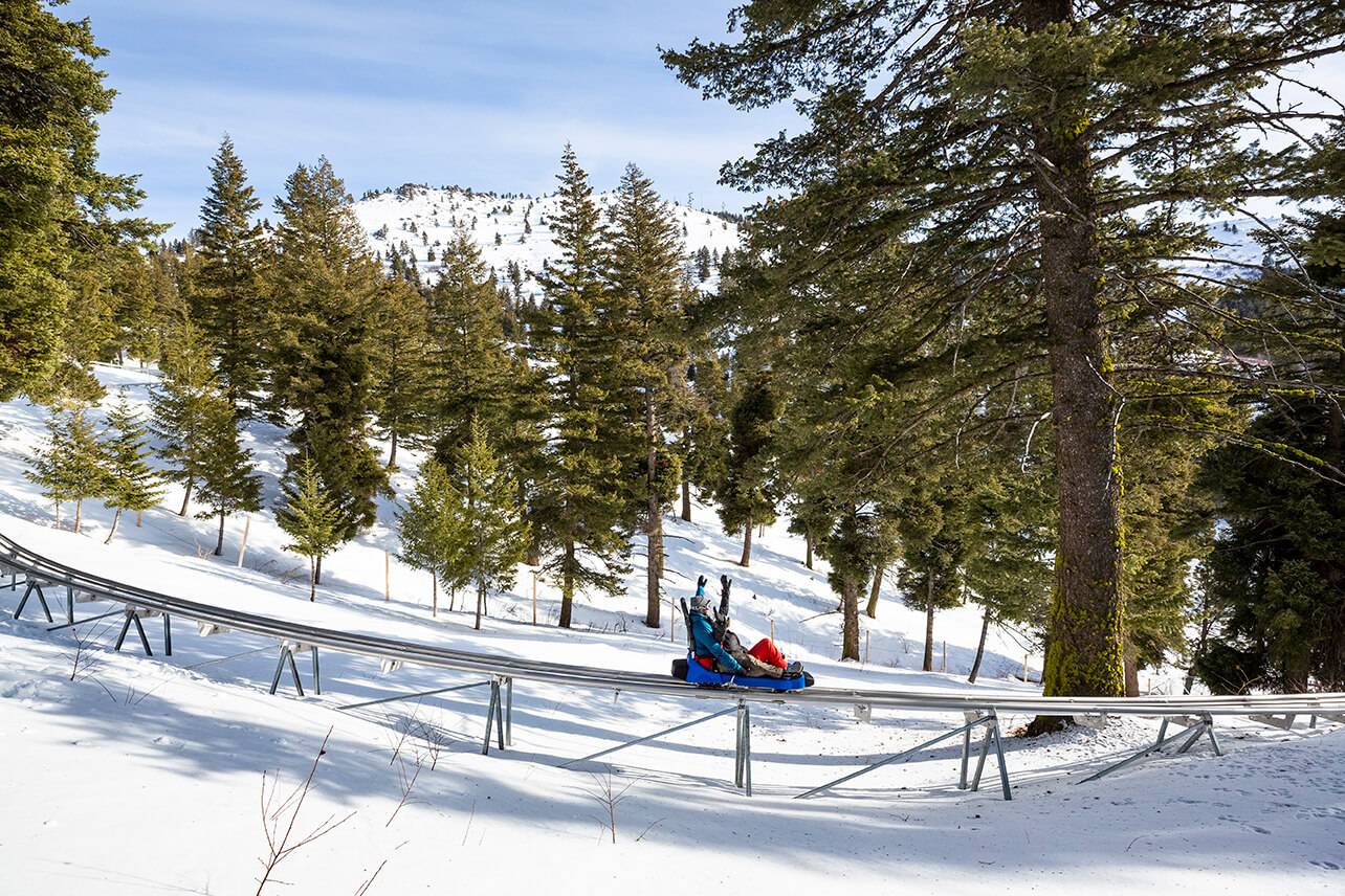 couple on mountain coaster at bogus basin