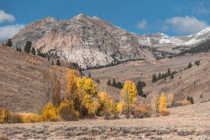 colorful fall foliage against mountain backdrop