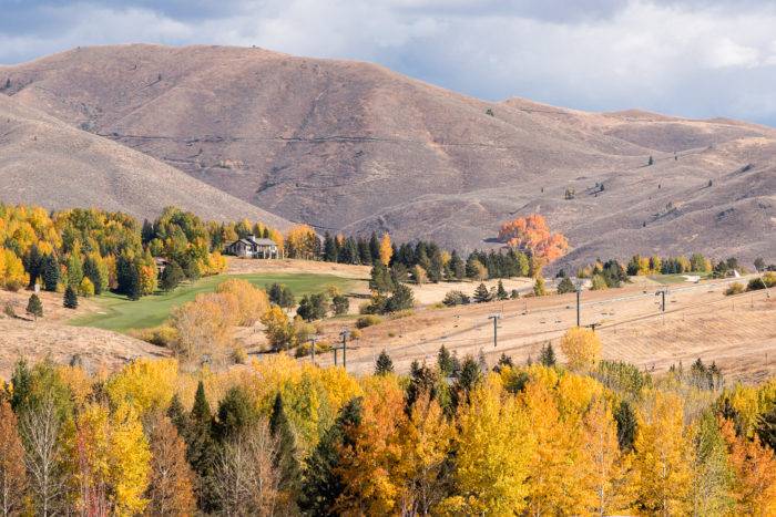 fall colors on large trees in elkhorn neighborhood