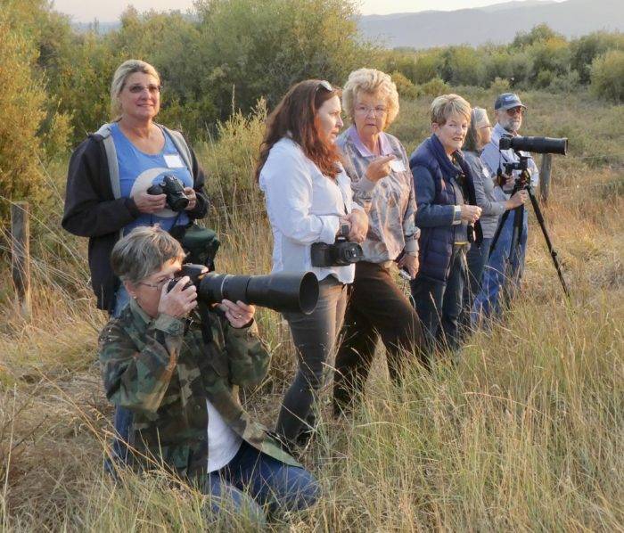 crowd of people birdwatching