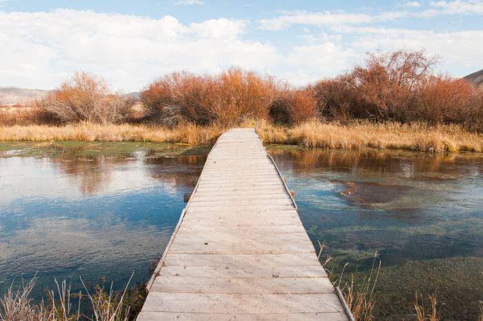 bridge over water at silver creek preserve